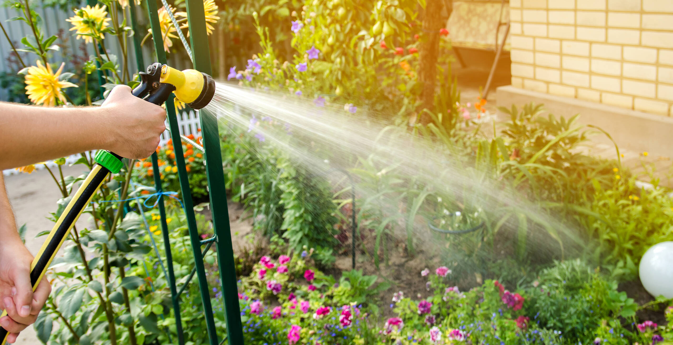 Förderung durch die Stadtentwässerung kann für die Homburger bei der sinnvollen Nutzung von Regenwasser bares Geld wert sein